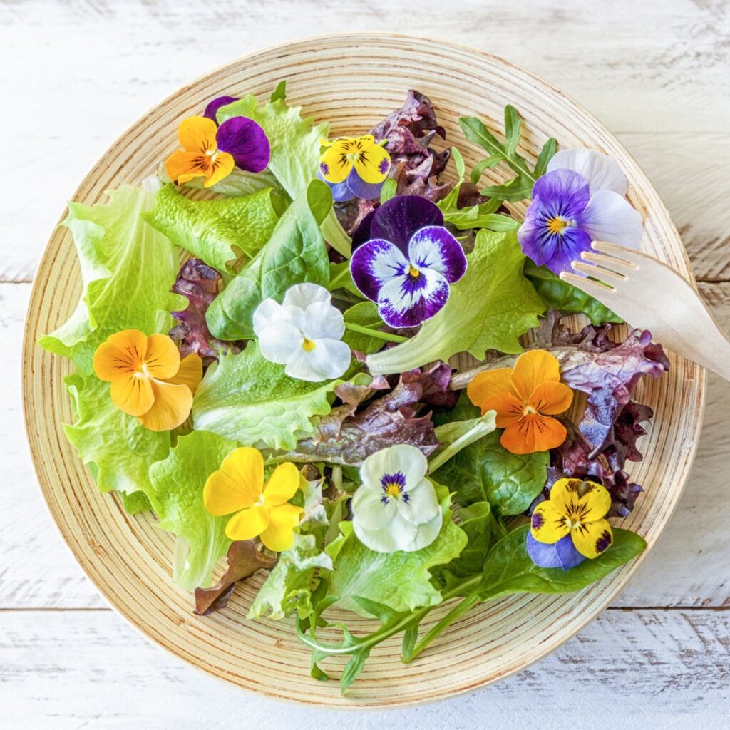 Flores comestíveis. Flor que pode comer. Salada com flor.